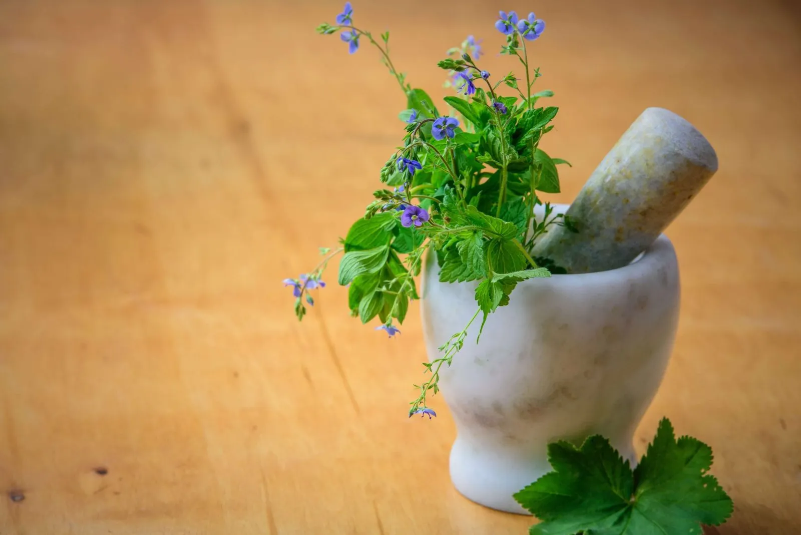 Fresh herbs in a white mortar and pestle on a wooden table